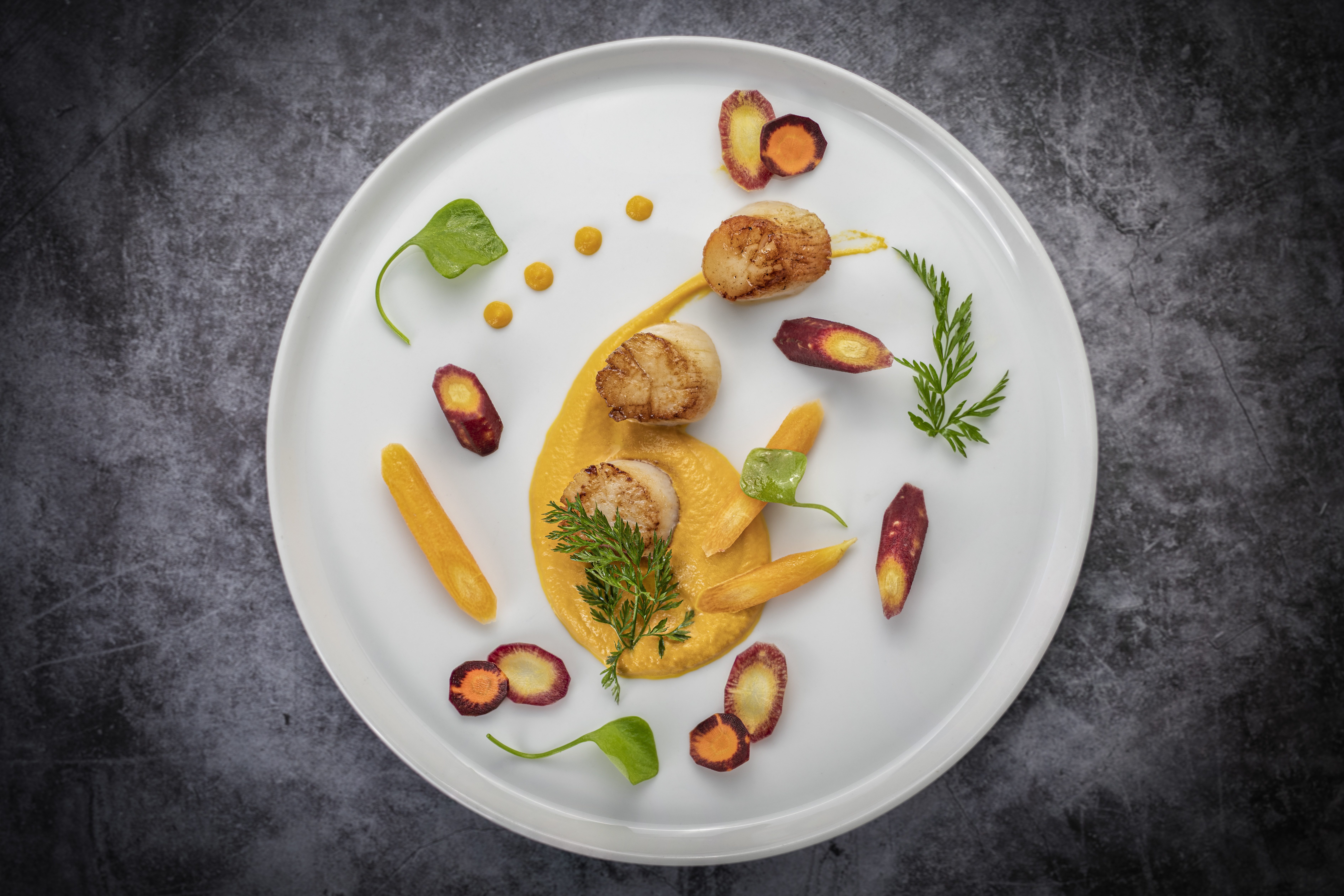 Weißer Teller mit schick angerichteten Essen