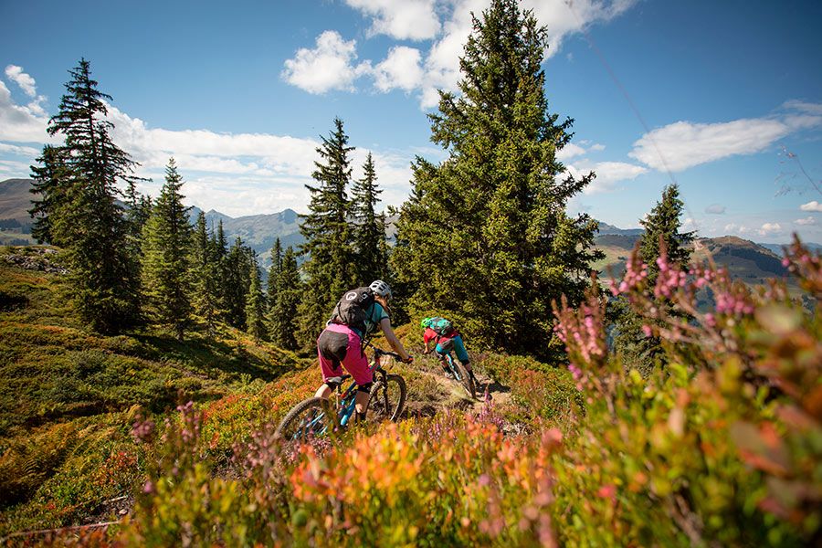 Zwei rasante Mountainbiker unterwegs auf einen schmalen Waldweg 