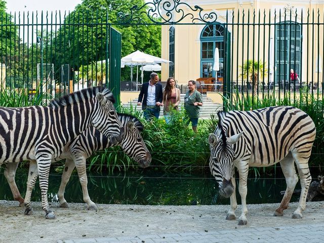 Tiergarten Schönbrunn