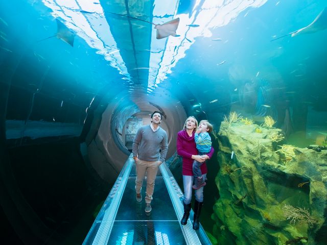 Haus des Meeres - Aqua Terra Zoo