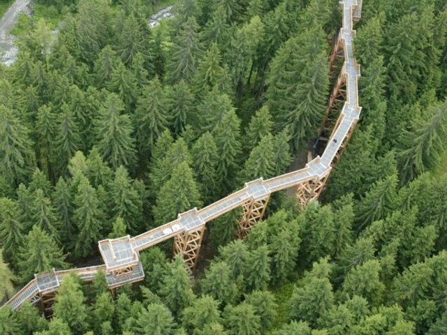Glemmtaler Baumzipfelweg