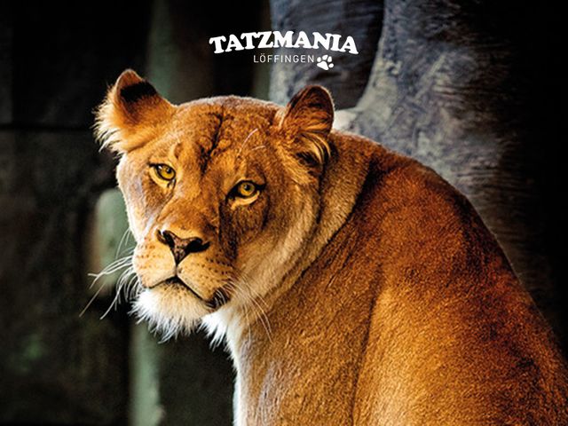 Tatzmania Löffingen