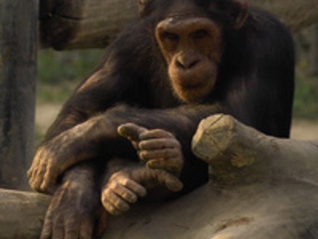 Leintalzoo Schwaigern