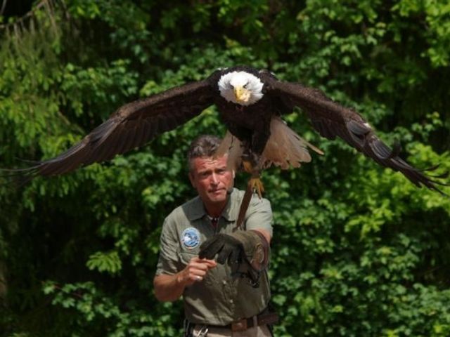 Vogelpark Steinen Gisbert