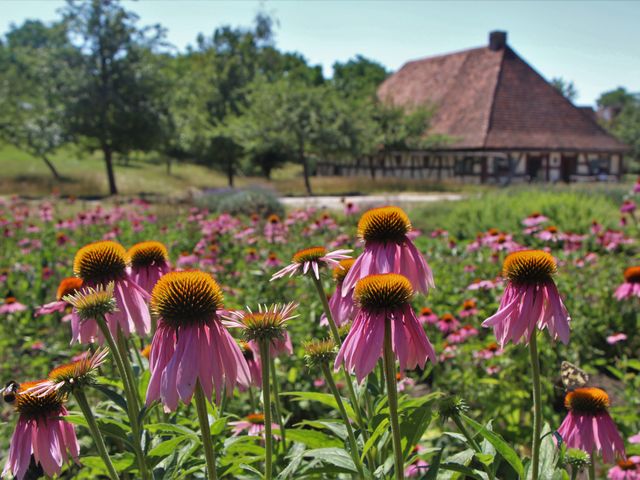Fränkisches Freilandmuseum Bad Windsheim