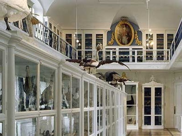 Naturkunde-Museum Bamberg